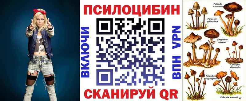 OMG ССЫЛКА  как найти закладки  Чусовой  Псилоцибиновые грибы Magic Shrooms 