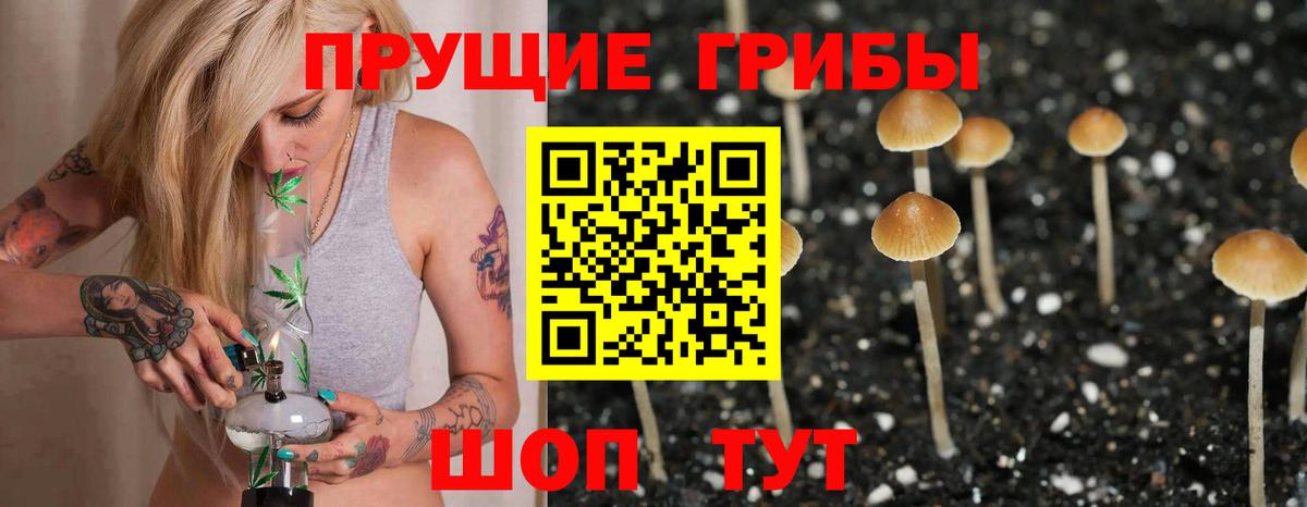 Галлюциногенные грибы мухоморы  Вход с VPN  Чусовой  Псилоцибиновые грибы мухоморы 